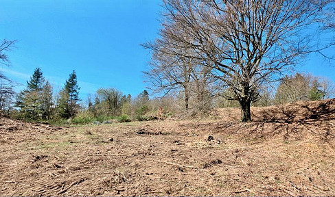 Baugrundstück mit einer Fläche von 1.458 m²  in Trippstadt