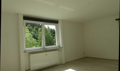 Beautiful 3 room apartment with EBK and balcony