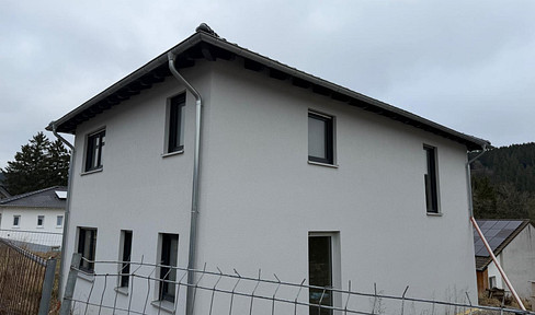 Detached single-family house as a shell