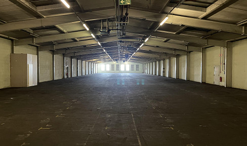 Cold hall 13B in Hunderdorf business park - for rent