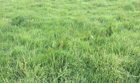 Wohnbauareale mit großem Potenzial – ca. 80.000 m² BGF, direkt vom Eigentümer