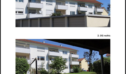 Wunderschöne, helle 3 Zi Whg in FN im Grünen