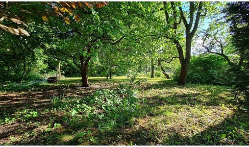 RESERVED - Sunny building plot with building permit - available immediately and without realtor fees.