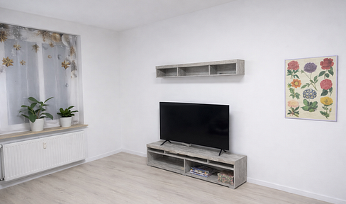 Newly renovated 5-room apartment with balcony for rent.