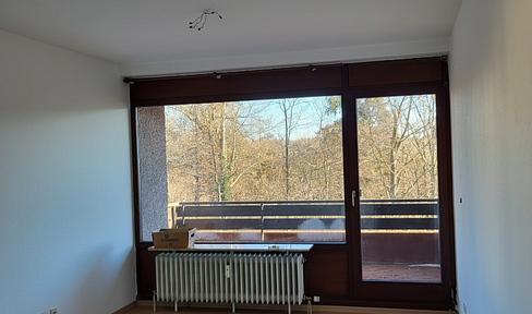 First occupancy after renovation | 2-room with EBK and balcony