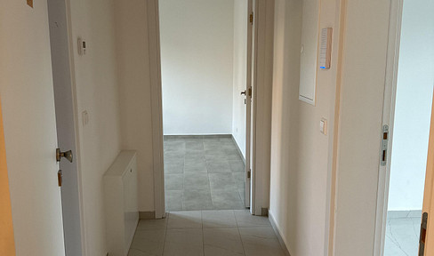 First occupancy* New building* Gropiusstadt