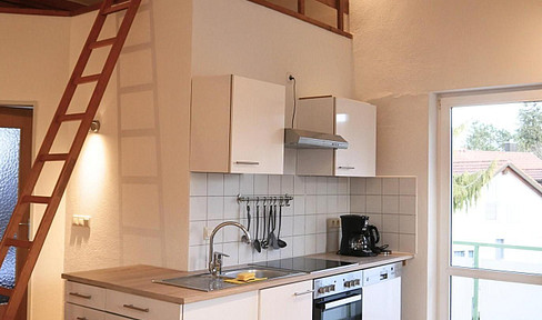 Furnished 2-room apartment with balcony and communal garden