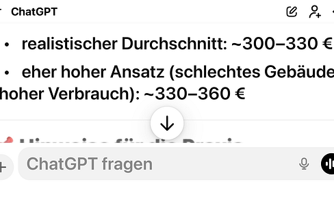 Helle, schön ausgestattete 2- Zi Whg mit Wohnküche