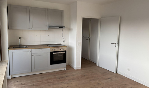 Newly renovated 1-room apartment with EBK