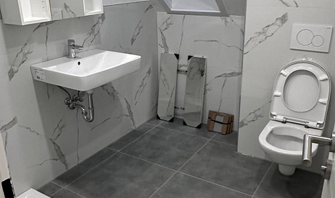 Beautiful 3-room apartment (first occupancy after renovation)