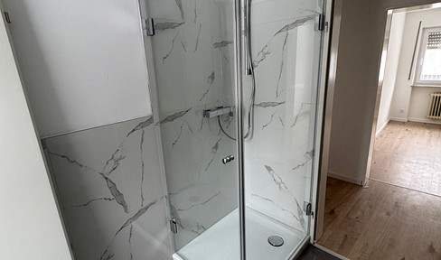 Attractive 2-room apartment (first occupancy after renovation)