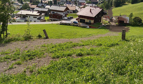 Gelegenheit! 1,2 ha Wiese und Wald Klösterle/Arlberg zu kaufen
