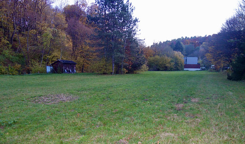 DREAMLIKE PROPERTY WITH POND AT STEINRIEGL