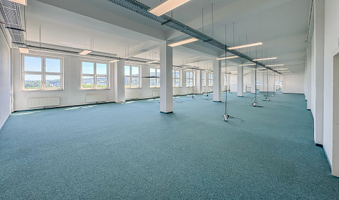 WAREHOUSE - 390 m² - LOADING TRAIN - STORAGE SPACES - BARRIER-FREE - SECURITY SERVICE - OPTIONALLY HEATED