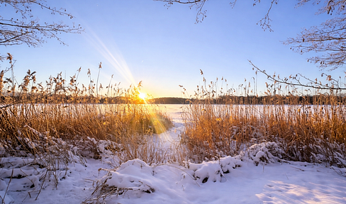 Family-friendly semi-detached house in a nature reserve, near Berlin & Potsdam