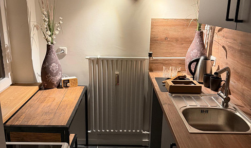 Freshly renovated cozy little apartment near the Elbe