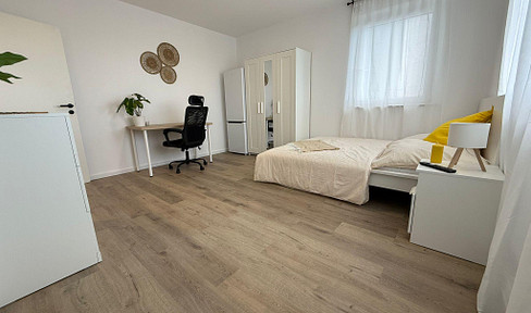 1 room apartment fully furnished and completely renovated