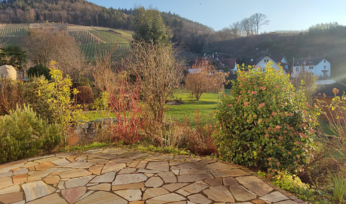 wunderschöne, sonnige 2-Zimmerwohnung mit tollem Ausblick ins Rheintal und auf Weinberge