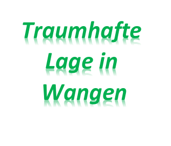 Beautiful detached house with land in a prime location in Wangen, very quiet, with little traffic, and wonderfully green.