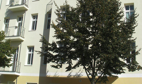 Provisionsfrei: Umfassend saniertes MFH, Energieeff-Kl. A, JNKM 229.152 € (Ist!)