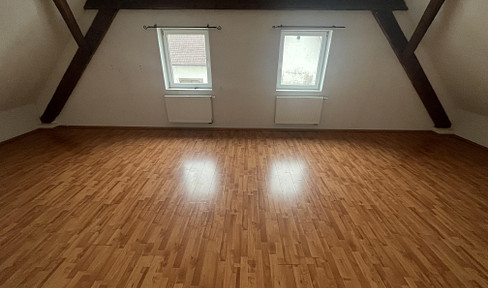 Große Maisonette Wohnung in Niederhofen-Leutkirch