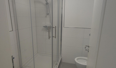 completely renovated 2 room apartment