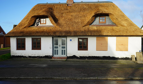 Thatched-roof house Wester-Ohrstedt/Nordsee 100m2 WF, 350m2 GS, free