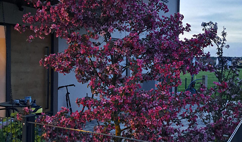 Freistehendes Einfamilienhaus Ortsrandlage