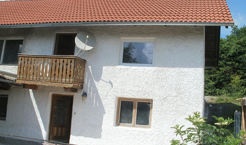 DHH in the Bavarian Forest.