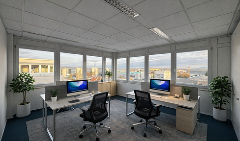 Einzelbüros ab 19m² im Walldorfer Industriegebiet