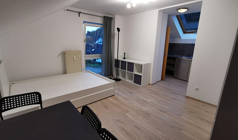 Renovated & furnished 1-room apartment with fitted kitchen and parking space in a quiet location