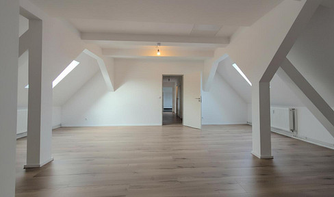 Newly renovated 3-room attic apartment