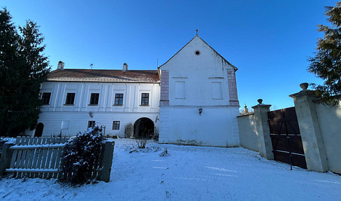 Living in the manor house