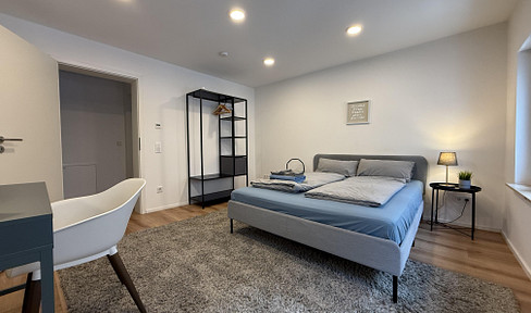 Lovingly furnished, renovated 1-room apartment with large balcony