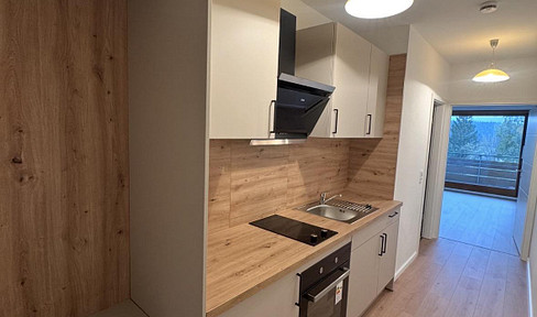 Helle 1-Zimmer-Wohnung zu vermieten