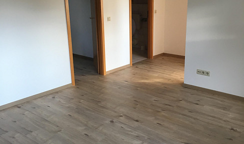2 room apartment for rent in Bad Rappenau-Stadt