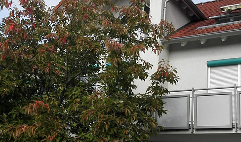 Bright 3-room apartment with spacious living/dining area!