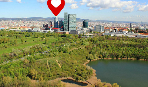 Commission-free: Panoramic apartment for sale in Vienna, near the Wienerberg, with a balcony and future connection to the U2 subway line.