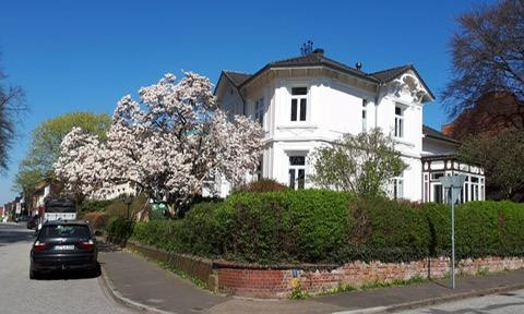 Stylish Art Nouveau villa with park views in Itzehoe.