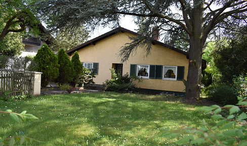 Exclusive residential property in a sought-after location in Maintal-Dörnigheim.