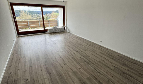 Renoviertes Apartment mit Balkon & Einbauküche