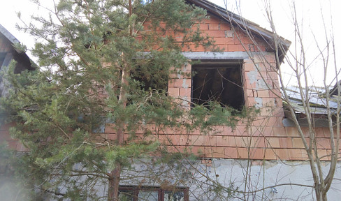 Rohbau mit 9500m² Grundstück in Drosendorf/NÖ - Gelegenheit!