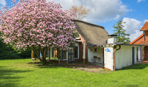 Thatched-roof complex – comprising two residential buildings and a building plot with a positive preliminary building permit.