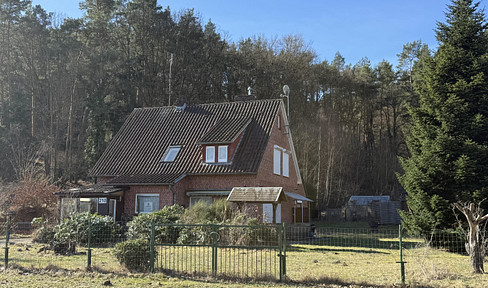A house on the Elbe River.