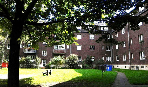 2.5-room apartment, featuring a large living and cooking area, a bathroom, and a guest toilet. There is also a green space located behind the building.