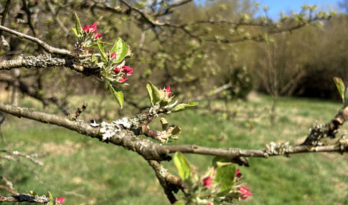 Naturgrundstück mit hohem Potenzial für Selbstversorgung & Rückzug in Biesenthal