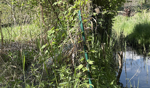 4,340 square meters in Biesenthal – Orchard bordering a stream, fenced, no building possible.