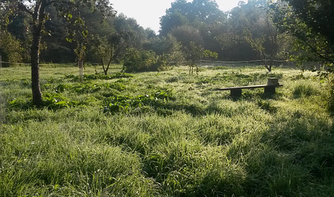 4.340 m² plot of land directly on the riverbank near Biesenthal – close to Berlin / Viewings are limited.