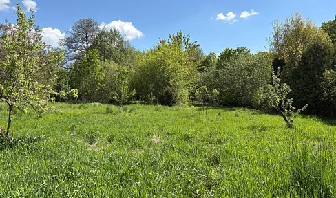 4.340 m² in Biesenthal – Obstwiese am Fließ, eingezäunt, keine Bebauung