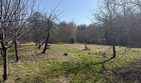 Natural plot of land with significant potential for self-sufficiency and seclusion, located in Biesenthal.